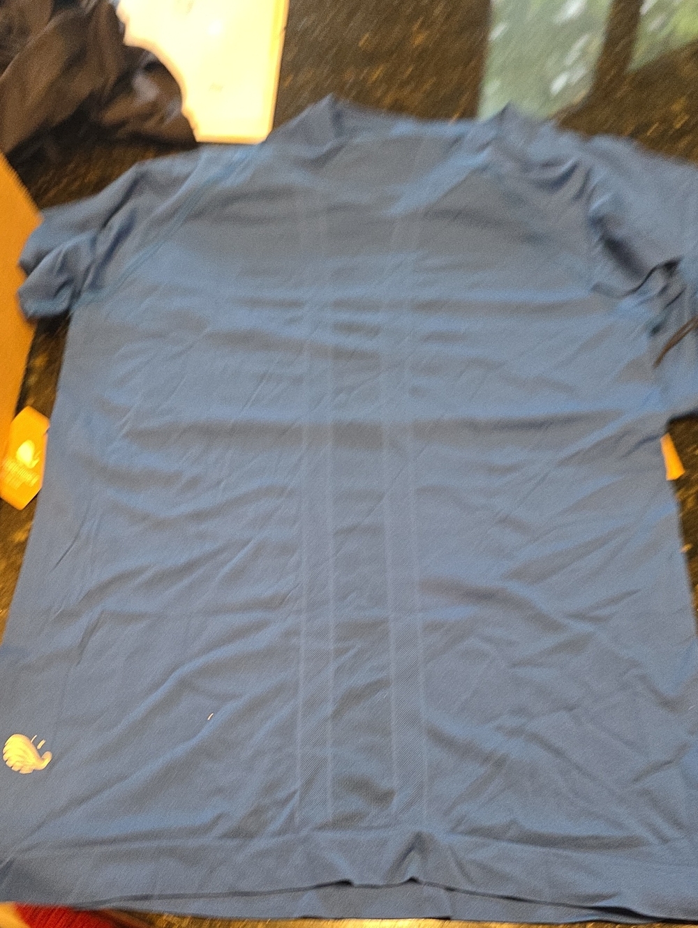 Women's Blue Short-Sleeve Top